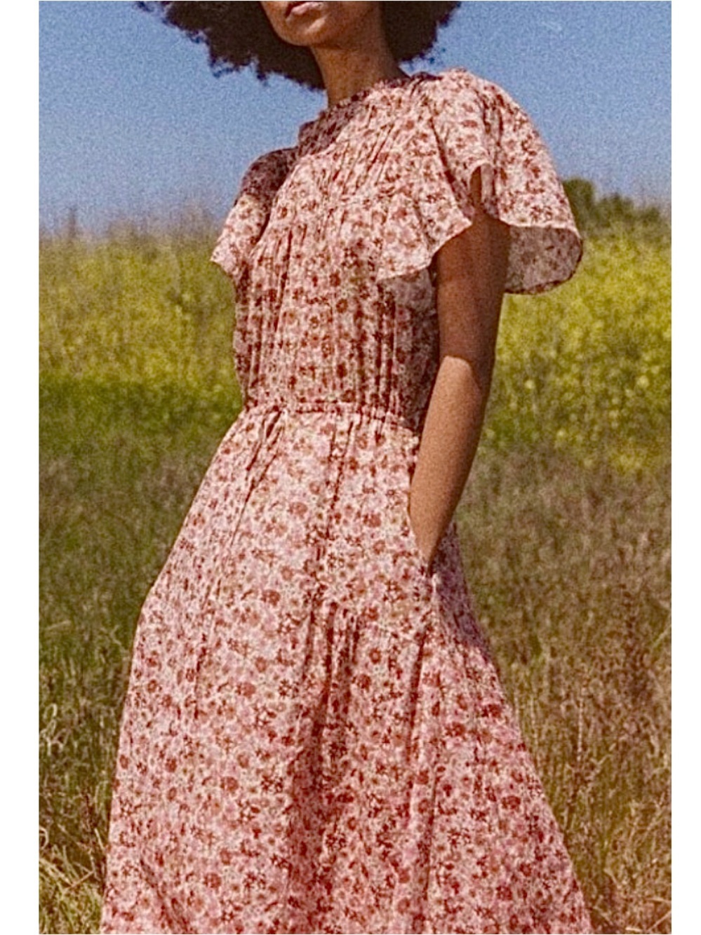 Trovata Birds of Paradise Nancy Spring Floral Midi Dress, NEW